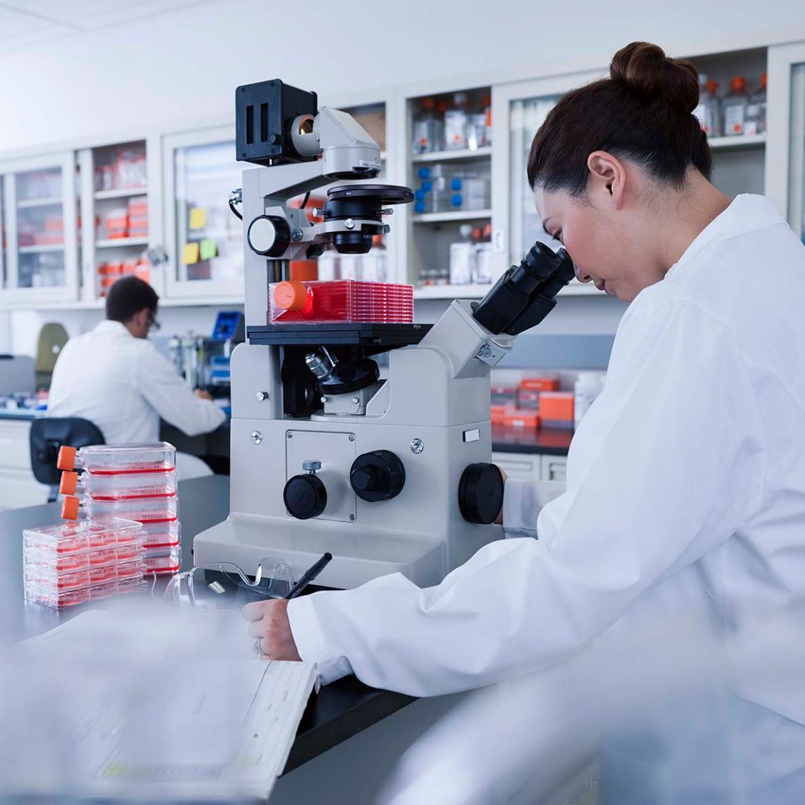 HYPERFlask Adherent Cell Culture Vessels Corning